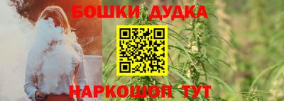 гашик Новодвинск