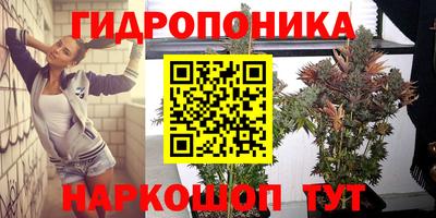 метадон Новозыбков