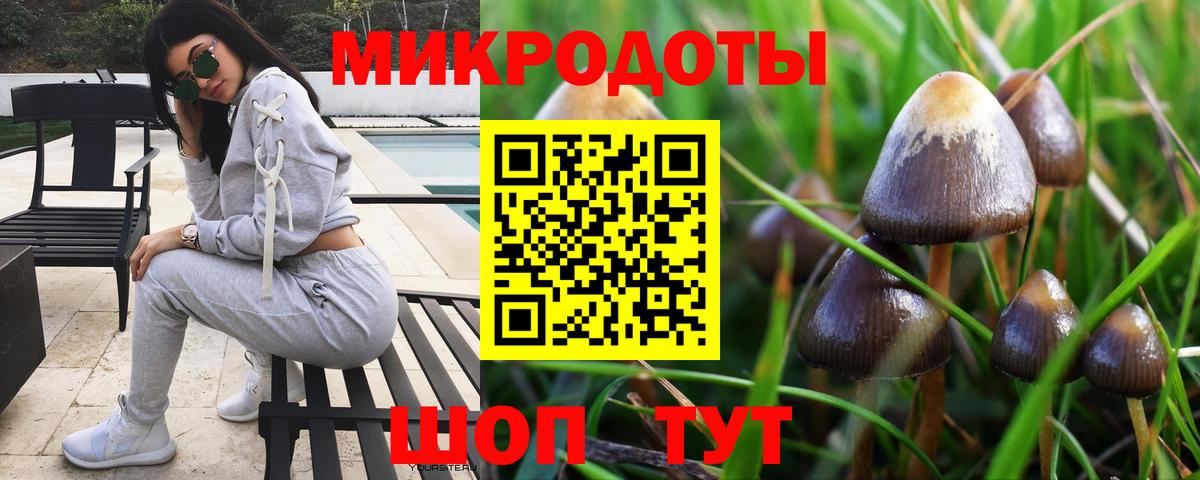 Галлюциногенные грибы мицелий Сосновый Бор