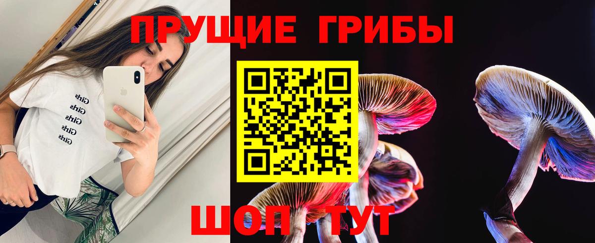 Сосновый Бор  Галлюциногенные грибы Magic Shrooms  Вход с VPN 