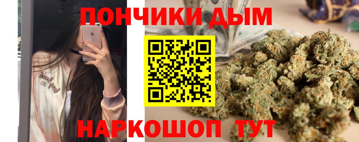 Марихуана индика  Конопля планчик  Бошки марихуана AK-47  Канабис конопля  Сосновый Бор  Вход с VPN 